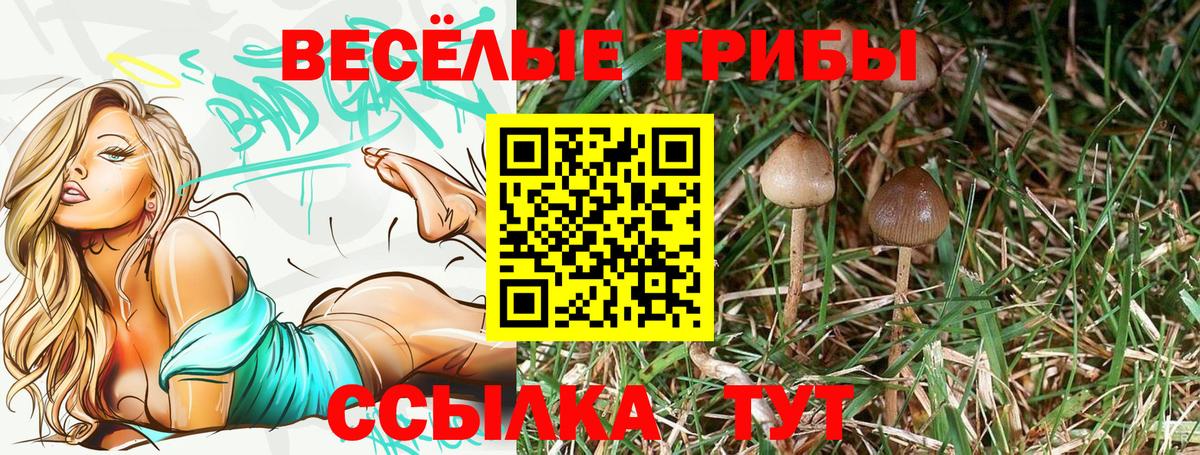 Галлюциногенные грибы мухоморы  Псилоцибиновые грибы прущие грибы  Вход с VPN  Камышлов 