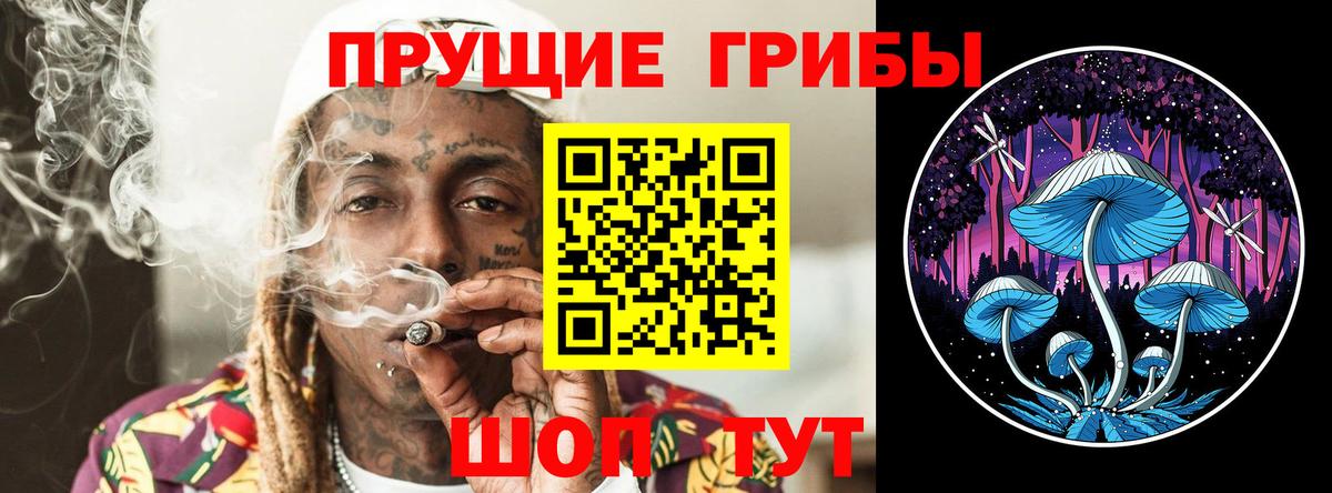 Галлюциногенные грибы GOLDEN TEACHER Камышлов